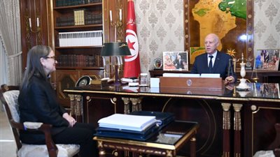 بعيدًا عن افتعال الأزمات.. الرئيس التونسي يشدد على ضرورة توفير احتياجات المواطنين