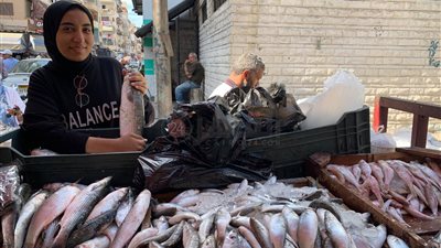 كيلو البلطي بـ28 جنيها.. أسعار الأسماك اليوم السبت 15 أكتوبر 2022 