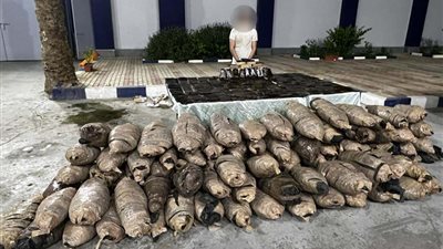 ضبط صفقة مخدرات بـ 4 ملايين جنيه في السويس