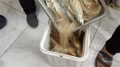 ضبط أسماك ولحوم فاسدة داخل محل فسخاني شهير بالشرابية