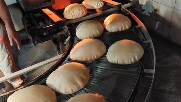 جانب من الحملة