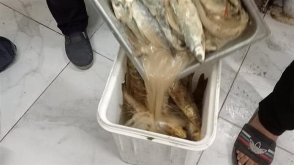 أسماك فاسدة 