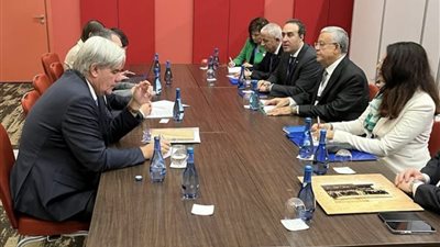 رئيس مجلس النواب يلتقي رئيس الجمعية الوطنية الصربية