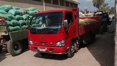 توريد 22035 طن أرز شعير لشون محافظة البحيرة | صور