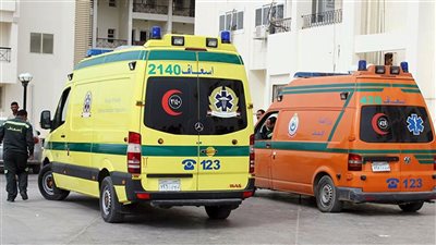 بالطعام الفاسد وسم الفئران.. تسمم 5 أشخاص بينهم طفلان في حوادث متفرقة بكفر الشيخ | أسماء