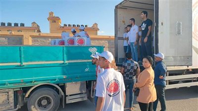 الكشف على 1449 مريضا ضمن مبادرة وطن واحد عائلة واحدة بشمال سيناء 