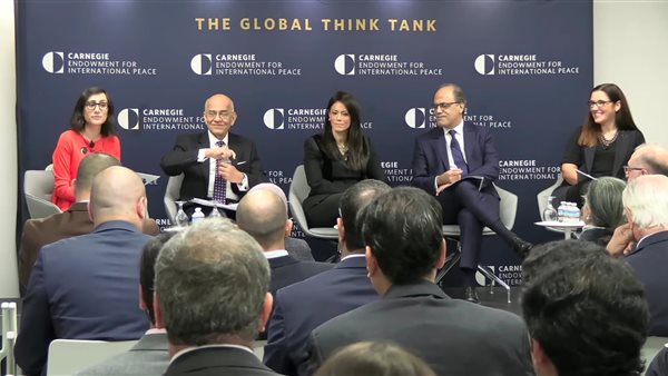 وزيرة التعاون الدولي