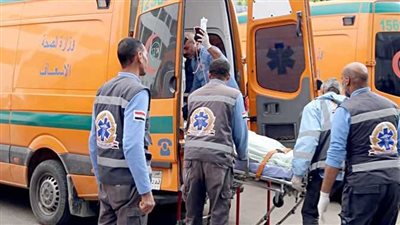 مصرع سيدة وإصابة ابنتها صدمتهما سيارة مسرعة بالشيخ زويد