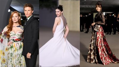 منهم ألكسندرا داداريو وجيسيكا شاستاين وليلي كولينز.. إطلالات نجوم هوليوود بحفل متحف أكاديمية الصور المتحركة