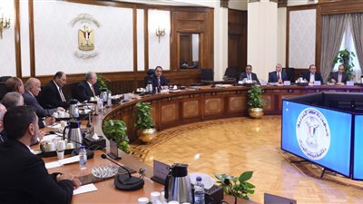 بعد أزمة الأعلاف.. رئيس الوزراء يوجه بالتوسع في الزراعة التعاقدية خاصة فول الصويا