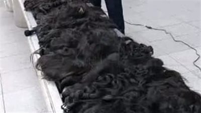 جمارك مطار القاهرة الدولي تضبط محاولة تهريب كمية من البواريك وخصل الشعر 