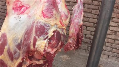 مختومة بأختام مزورة.. ضبط 175 كيلو لحوم فاسدة وغير صالحة للاستهلاك الآدمي بسوهاج 