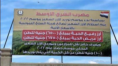 تموين بورسعيد: اعتماد مضرب الشرق الأوسط بالمحافظة لـ استقبال الأرز الشعير لأول مرة