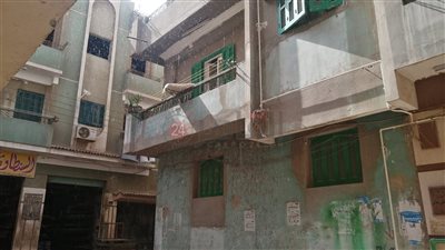 انخفاض في درجات الحرارة وسقوط أمطار بالغربية اليوم │صور