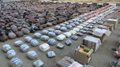 المؤبد لـ 10 متهمين من 3 محافظات كونوا تشكيلًا عصابيًا لتهريب المخدرات