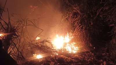 السيطرة على حريق في مساحة من الحشائش ببورسعيد | صور