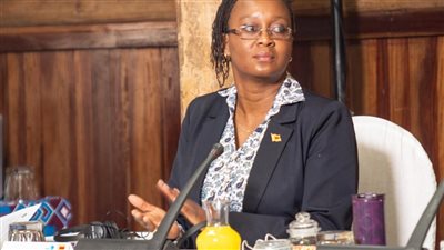 مسئول زيمبابوي: مستثمرون مصريون يقيمون مشروعات للأسمدة والبرمجيات لدينا