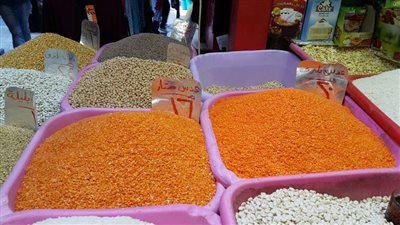 غرفة الحبوب: ارتفاع سعر طن العدس 5 آلاف جنيه بعد السماح بالتصدير مجددًا