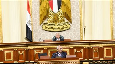 وزير التعليم: الحكومة سترخص سناتر الدروس الخصوصية وتمنح رخصة للمعلمين بها