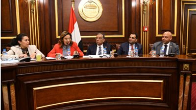 وزيرة الثقافة تستعرض خطة الوزارة أمام مجلس الشيوخ