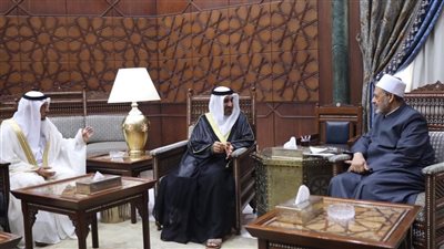 وفد إماراتي: جهود الإمام الأكبر تعكس عالمية الأزهر ودوره في نشر الأخوة الإنسانية