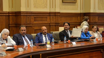 الكتاب الأسود.. نائب يستعرض أمام وزير التنمية المحلية معاناة مدينة المحلة الكبرى