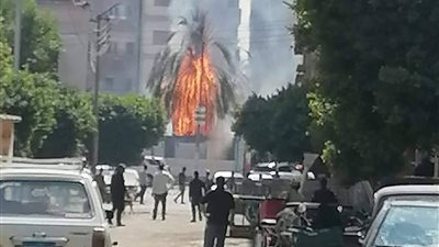 نشوب حريق بأشجار نخيل بجوار محطة سكة حديد نجع حمادي بقنا 