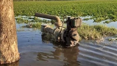 محافظ المنوفية: غمر 775 فدان من أراضي طرح النهر بـ أشمون بالمياه بعد ارتفاع منسوب النيل