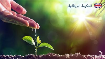 المتحدثة باسم الحكومة البريطانية في الشرق الأوسط تستشهد بحديث الرسول ﷺ