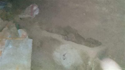 دون أضرار بشرية.. انهيار جزئي لمنزل بإحدى قرى المنيا