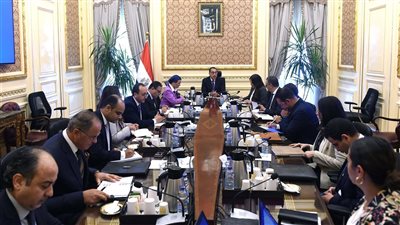 الحكومة تكشف حقيقة وجود تطبيقات إلكترونية لمنح المواطنين قروضًا مالية