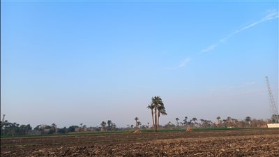 الصغرى 7 درجات.. موجة صقيع تضرب محافظة أسيوط