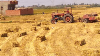 وزيرة البيئة: نجحنا في تجنب 16 ألف طن من الانبعاثات.. وجمعنا أكثر من مليون طن قش أرز | صور 