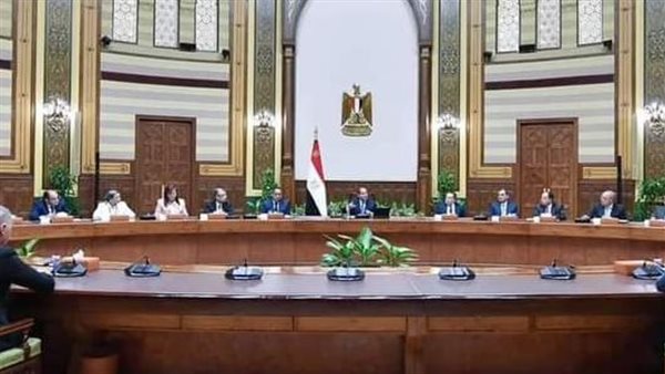 لقاء الرئيس عبد الفتاح