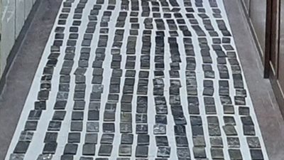 بأكثر من 2 مليون جنيه.. ضبط عناصر إجرامية لإتجارهم بالمواد المخدرة بالإسكندرية |صور