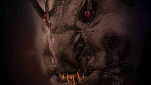 صورة مقربة 5 مرات