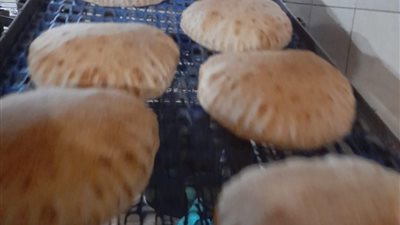 ضبط  49 مخالفة تموينية في حملة على المخابز والأسواق بالدقهلية