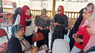 انطلاق نموذج محاكاة المؤتمر الاقتصادي بمركز شباب كفر الزيات بالغربية | صور