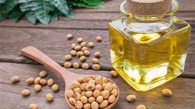 التموين تعلن توريد 4 آلاف طن زيت خام خلال ديسمبر المقبل | بث مباشر