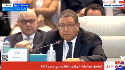 زياد بهاء الدين: ضرورة إعادة النظر في دور هيئة الاستثمار ومنحها صلاحيات واسعة 