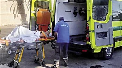 إصابة 12 شخصًا في حادث تصادم بالبحيرة | أسماء