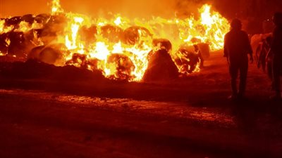 تفاصيل اندلاع حريق هائل بقش أرز في أرض فضاء بالدقهلية