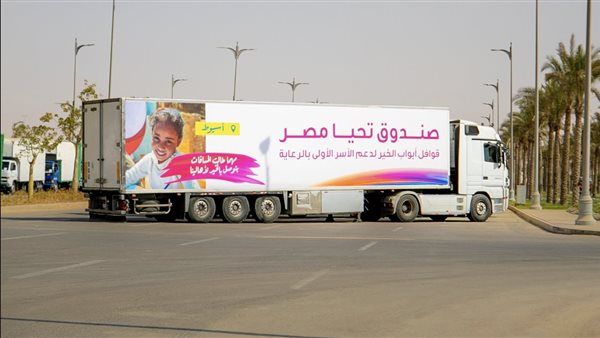 صندوق تحيا مصر 