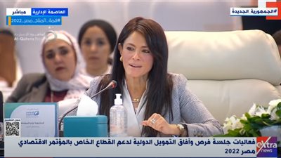 المشاط: 7 مليارات دولار حصة القطاع الخاص من محفظة التمويلات التنموية