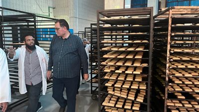 مستشار وزير الزراعة: نسعى للتوسع في مصانع التغذية المدرسية