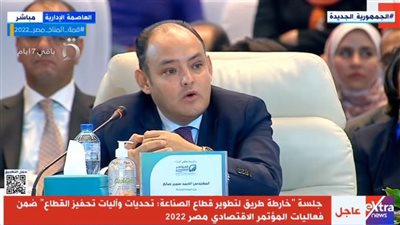 وزير الصناعة: 7 قطاعات ستكون لها الأولوية في الفترة المقبلة لدعم الاقتصاد 