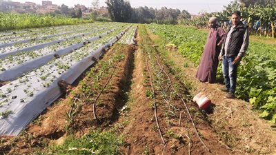 محافظ المنوفية: تمويل 90 مشروع اقتصادي ضمن مشروعات إقراض الأسر للقرى والأحياء