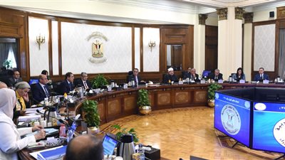 الحكومة توافق على استكمال تنفيذ 119 عمارة بالإسكان الاستثماري ببورسعيد