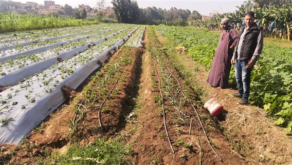 مشروع الإقراض بالمنوفية