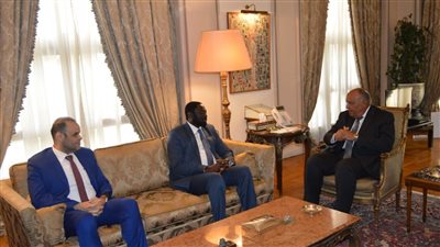 وزير الخارجية: COP 27 يمثل محطة هامة على صعيد تنفيذ تعهدات والتزامات المناخ